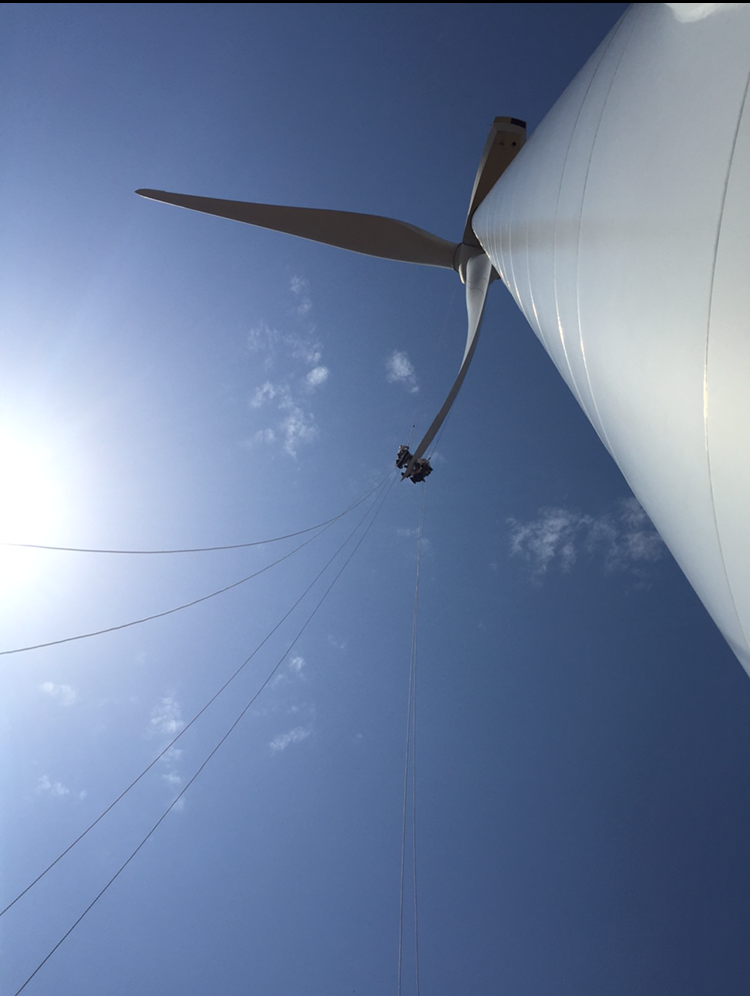 Quality assurance icon